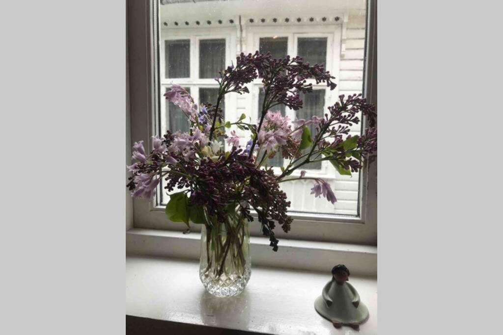 Line I Smauet Daire Bergen Dış mekan fotoğraf